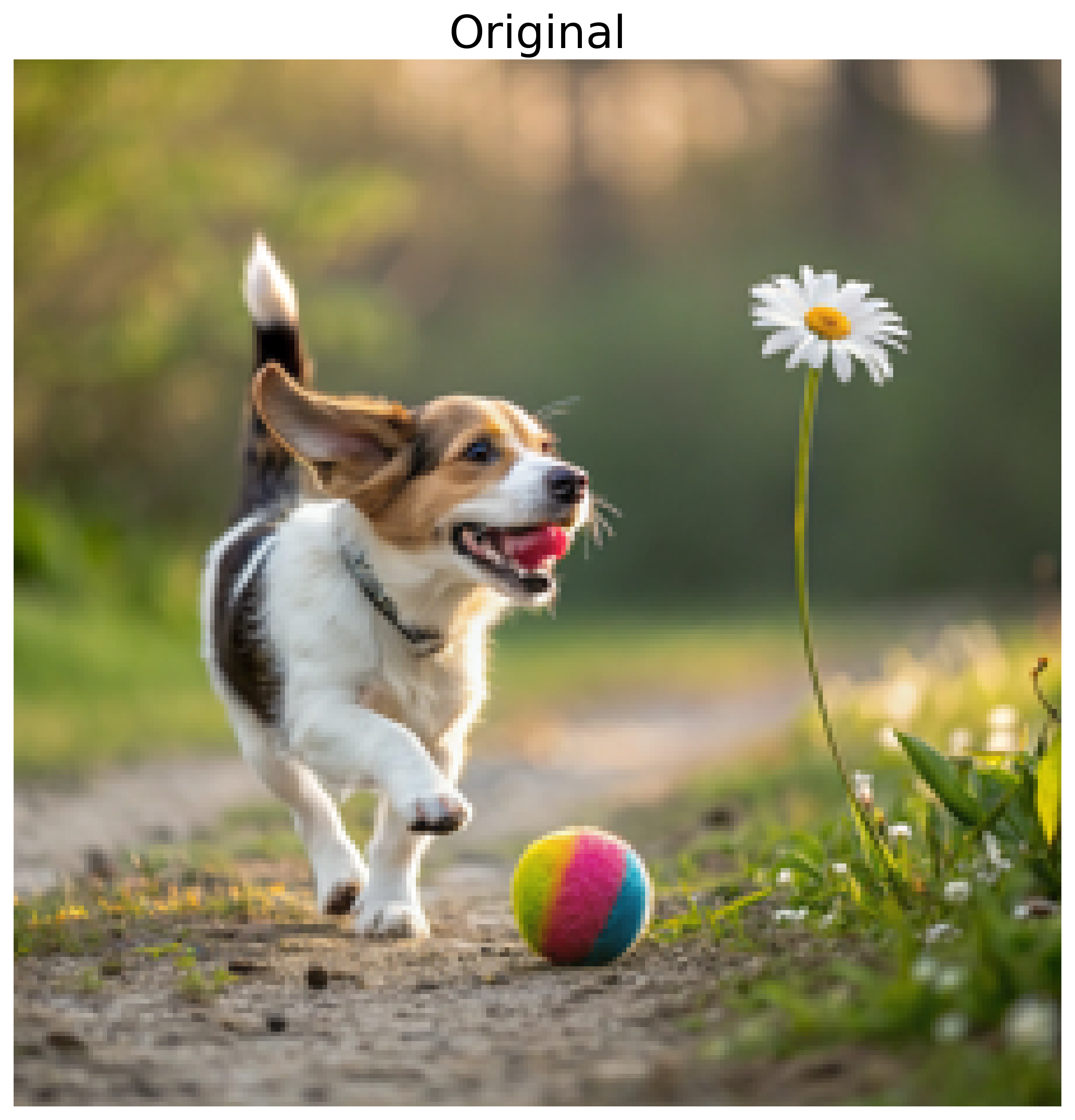 Dog and flower